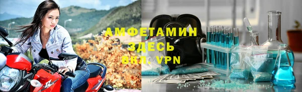 гидра Алексин
