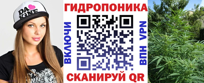Купить где  Горняк  Шишки марихуана план 